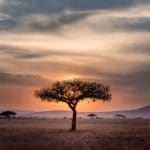 Stepping Back in Time in Africa with Tourico Vacations