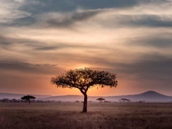 Stepping Back in Time in Africa with Tourico Vacations